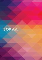 SORAA-introduction-brochure-international.pdf.preview